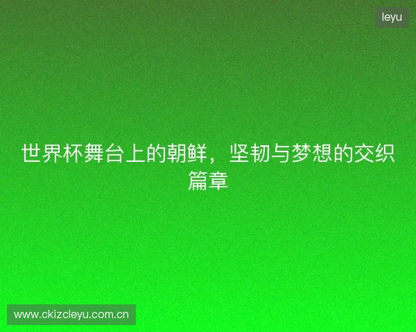 世界杯舞台上的朝鲜，坚韧与梦想的交织篇章